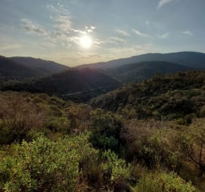 Boucle dans le massif de Roquebrune-sur-Argens - Roquebrune-sur-Argens - 4