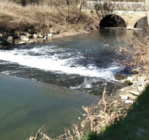 Autour d'Ozouer-le-Voulgis - Ozouer-le-Voulgis - 3