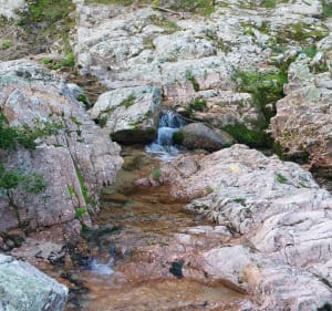 Boucle dans le massif de Roquebrune-sur-Argens - Roquebrune-sur-Argens - 5