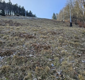 Wejście na Dzikowiec Wielki - Boguszów-Gorce - 3
