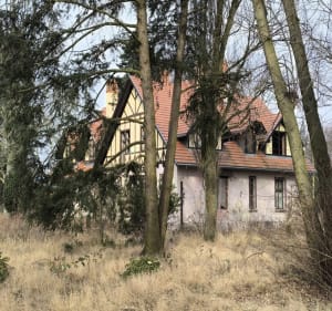 Uroczysko Porszewice o poranku - Porszewice - 5