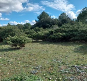 Du côté de Saint-Rémy-de-Provence et le Lagoy - Saint-Rémy-de-Provence - 4