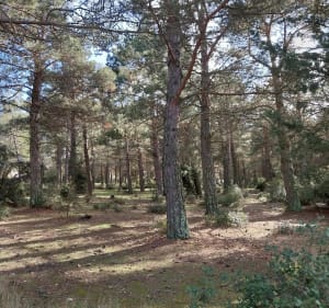 Du côté de Saint-Rémy-de-Provence et le Lagoy - Saint-Rémy-de-Provence - 5