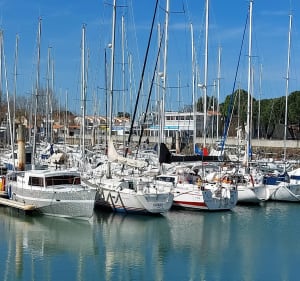 Nord -Est de l'île d'Oléron - Saint-Pierre-d'Oléron - 4