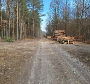 Marszo-bieg Knapówka - Knapówka - 3