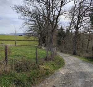 Saint-Just-la-Pendue par Sainte Colombe sur Gand - Saint-Just-la-Pendue - 4