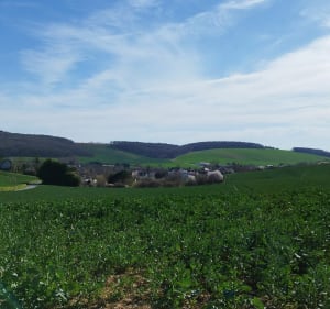 Les Saints Pères - Vue sur la Vallée de l'Yonne - Malay-le-Grand - 5