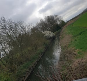Les 10km de la mervilleuse - Merville - 5