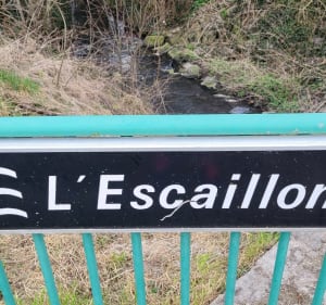 Circuit des sources par Ecaillon et le Marais - Ecaillon - 3