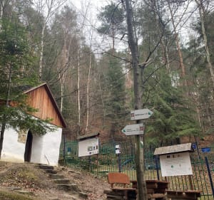 Spacer do wieży widokowej w Iwkowej - Beata - 5