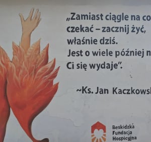 Wiśniowa pętla ;) - Wiśniowa - 3