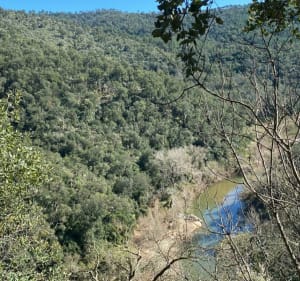 Forêt des Apiès, les Arcs sur Argens - Les Arcs - 4