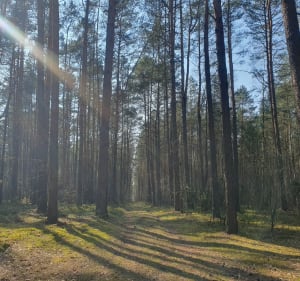 Wokół Grotnik" - Grotniki - 4