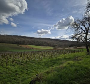 Les Soillons, par Mellecey - Saint-Martin-sous-Montaigu - 3