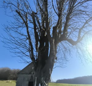 Randonnée chargée d'histoire à Ronquerolles - Ronquerolles - 4