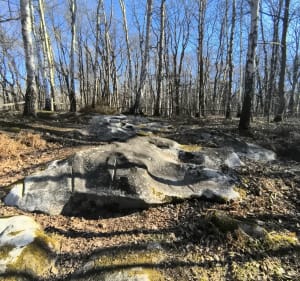 Randonnée chargée d'histoire à Ronquerolles - Ronquerolles - 5