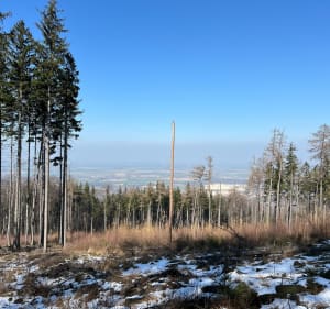 Pierwszy wypad w góry po zimie - Sobótka - 3