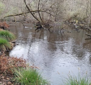 Canal de Huchet Moliets et Maa - Moliets-et-Maa - 4