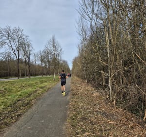 Les sentiers de Saint-Germain-en-Laye - Saint-Germain-en-Laye - 4