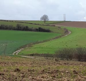 La forêt d'Eu par Rieux, depuis Monchaux - Bouttencourt - 3