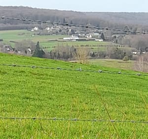 La forêt d'Eu par Rieux, depuis Monchaux - Bouttencourt - 4