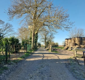 Petite promenade à Mercatel, par Beaurains - Mercatel - 3