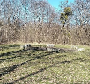 Spacer po Brzegu i parkach - Brzeg - 4