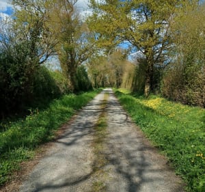 Sentier en utilisant le parcours vallon et coteaux de Champ sur Layon - GWÉNAËLLE - 5