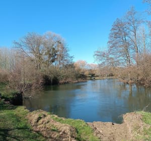 Balade au bord de la Sarthe, depuis le Boulay - Teillé - 5