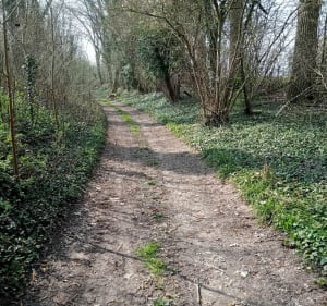 Boucle à partir de Moy de l'Aisne par le canal de Saint-Quen - Moÿ-de-l'Aisne - 3