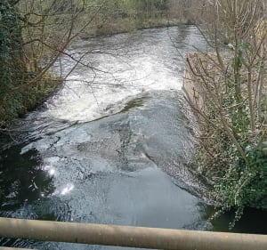 Boucle à partir de Moy de l'Aisne par le canal de Saint-Quen - Moÿ-de-l'Aisne - 5