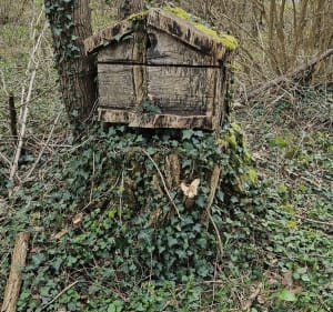 Entre chemins et routes de campagne depuis les Norests - Saint-Germain-des-Prés - 4