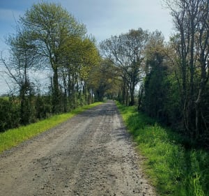 Boucle de Vihiers à Saint Hilaire ( la chapelle richard) - Lys-Haut-Layon - 3