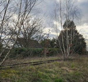 Entre chemins et routes de campagne depuis les Norests - Saint-Germain-des-Prés - 5