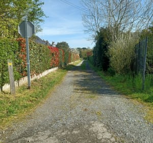Boucle de Vihiers à Saint Hilaire ( la chapelle richard) - Lys-Haut-Layon - 5