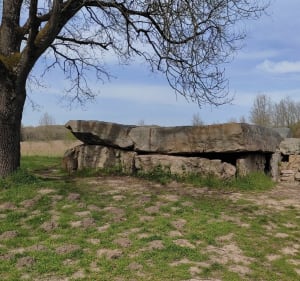 Le Thoureil - Gennes-Val-de-Loire - 4