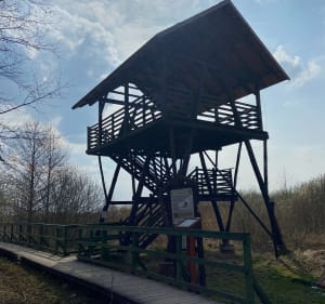 Bagno Całowanie, Wydmy, Kobyla Góra, Staw Żółw - Podbiel - 3