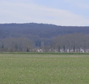 Nointel-Mours, champs et monuments - Catherine - 3