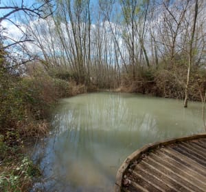Balade en famille, autour des prairies humides des Confines - Monteux - 3