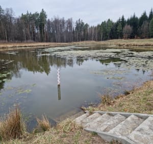 Wysoka Głogowska po sosonowym lesie - Wysoka Głogowska - 3
