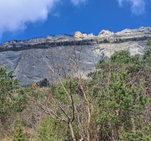 Plateau de Biviers à pieds par sentiers et parcs - Isabelle - 3