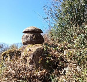 Cieux, Les Monts, la Chapelle de Vaulry, Vecheze, le Theil... - Cieux - 4