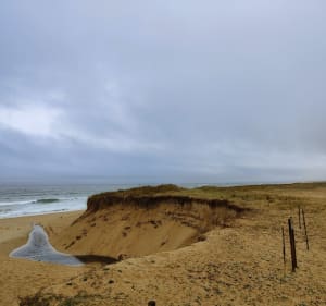 Dunes du Mât Fenoux jusqu'aux bord du Ria d'Ethel - Plouhinec - 4