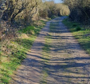 Les hauts de Sangatte - Sangatte - 3