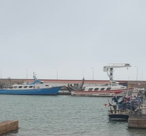 Las Cases d'Alcanar - Les Cases d'Alcanar - 4