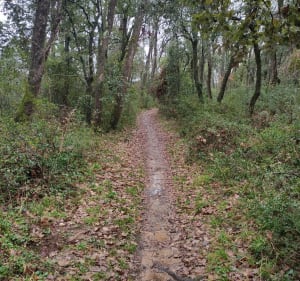 Randonnée du domaine des belles pierres - Murviel-lès-Montpellier - 3