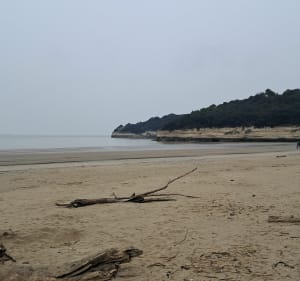Marche à Saint Georges de Didonne, par la Pointe de Suzac - Saint-Georges-de-Didonne - 3