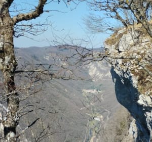 Super randonnée par la Joux et la Charbonnière - Plateau d'Hauteville - 3