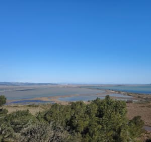 L'île de Ste Lucie à Port la Nouvelle - Port-la-Nouvelle - 4
