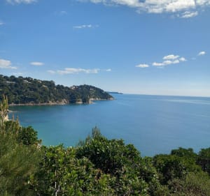 Sentier du Fenouillet - Cavalaire - Cavalaire-sur-Mer - 4